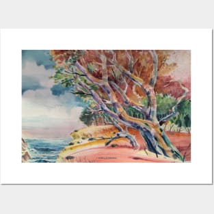 Monterey sea scene Posters and Art